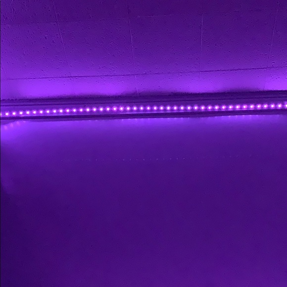 Meet your Posher, Logan - Picture 1 of 1